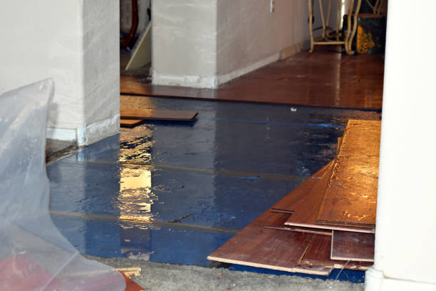 Professional Burst Pipe Cleanup technician working in Fentress, TX